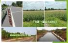 ที่สวยติดถนนลาดยางสาย 2 ขวาลบ.2047 โฉนด 23 ไร่ หน้ากว้าง 80 เมตร ท้ายแปลงติดคลองชลประทาน