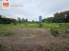 ขายที่ดินเปล่า บางนา-ศรีนครินทร์ ทำเล AA+ พื้นที่ 1- 1 – 27 ไร่