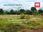 ขายที่ดินเปล่า 333.5 ตร.วา ต.เขาพระ จ.นครนายก 