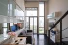 Pet friendly studio duplex ให้เช่า คอนโด IDEO MORPH 38  ID-12548