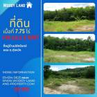 ที่ดิน 7.75 ไร่ หลังหมู่บ้านปลักจันทร์หอม 