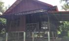 ขายบ้านไม้     อำเภอเมืองนครพนม นครพนม 