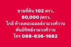 ขาย ที่ดิน 102 ตรว ซอย งามวงศ์วาน19