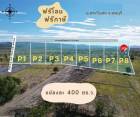 ขายที่ดิน1ไร่195,000บ.ฟรีโอน ต.นิยมชัย สระโบสถ์ ลพบุรี