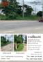 ขายที่ดินเปล่า ติดปั้มน้ำมันเชลล์ ในเมืองพิจิตร