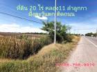 ที่ดิน 20 ไร่ คลอง 11 ลำลูกกา ฝั่งตะวันตก  ติดถนนลาดยาง 