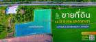 ขายที่ดิน 14 ไร่ Bypass เส้น 126 พิษณุโลก ใกล้ ศาลากลางใหม่