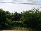 ขาย ที่ดิน โพธาราม ราชบุรี พร้อมสวนปาล์ม 18-3-6 ไร่ ติดทางหลวงเทศ