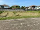 ขาย ที่ดิน พุทธมณฑล สาย2 ที่ดินบรมราชนนี ทำเลดีสุดๆต่อรองได้ถ้าชอบ เหมาะสร้างบ้านหรู ID-13586