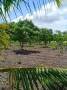 ขายที่ดินสวนมะพร้าวสวนผสมโฉนดครุฑ​แดง​ พร้อมโอน 6ไร่ ๆละ250000บาท สนใจติดต่อ เล็ก
Line​:0618837445
Tel.0631757411​