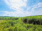 ขายที่ดินเปล่า หนองเสือช้าง หนองใหญ่ ชลบุรี 