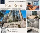 Condo For Rent 