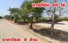 ขายที่ดิน 60 ไร่ ติดถนนตลอดแนวทางเข้าหมู่บ้าน เอกชัยเลควิลล์ 