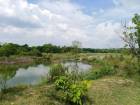 ขายที่ดินบ้านปางม่วง ตำบลเวียงตาล อำเภอห้างฉัตร จังหวัดลำปาง 120ไร่ 