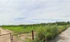 ขายที่ดิน 64 ไร่ ถนนชุมชนหนองหว้าซอย 3 ต.บึง อ.ศรีราชา จ.ชลบุรี