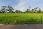 ขายที่ดิน อุบลฯ 75 ไร่ ใกล้ถนน 4 เลน อ.สำโรง