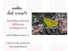 ขายที่ดินบางบ่อสมุทรปราการ เข้าทางถนนบางนา-ตราด