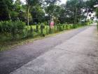 ขายที่ดิน​ เหรียญทองซอย1 ต.คำน้ำแซบ​
