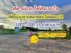 สดผ่อน สบายใจที่ดิน แบ่งขาย ตลาดต้นไม้คลอง15 ราคาเบา T.062-1574449