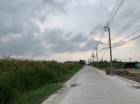 ขาย ที่ดิน สนามบินสุวรรณภูมิ   ID-15952