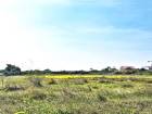 S423 ขายที่ดิน ขนาด 19 ไร่ ใกล้ศาลจังหวัดนครปฐม อ.เมือง จังหวัดนครปฐม