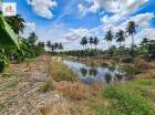 ขาย ที่ดิน แปลงใหญ่-ใกล้ถนนเพชรเกษม หมู่บ้านเศรษฐกิจ บางแค 8 ไร่ 56 ตรว
