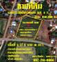 ขายที่ดิน ขายด่วนๆๆ ที่ดินเปล่าทำเลดี ติดถนนลาดยาง