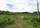 ขายที่ดินบ้านทามติดแม่น้ำบางปะกง(แม่น้ำปราจีน)เนื้อที่เกือบ3งานพื้นที่งอก ติดถนนเส้นปจ.4043 อ.ศรีมหาโพธิ ปราจีนบุรี