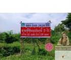 ขายที่ดิน คลองหลวง คลอง2 ซอยบงกช 42  ปทุมธานี ขนาด 2 ไร่