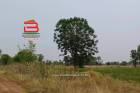 ที่ดินเปล่า บ้านหนองเต่า เนื้อที่ 24-2-12 ไร่ ใกล้วังนาคินนิลนาคามนต์ตรานาคีบุรีรัมย์ ถนนบุรีรัมย์-นครราชสีมา ตำบลเมืองไผ่ อำเภอหนองกี่ จังหวัดบุรีรัมย์