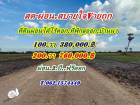 ที่ดินผ่อนได้ ไร้ดอก ที่พิกุลออกบ้านนา นครนายก สดผ่อนได้ ขายถูก! T.062-1574449