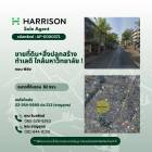 ด่วน! ขายที่ดินพร้อมสิ่งปลูกสร้าง ถนนพิชัย ทำเลดี ใกล้มหาวิทยาลัย