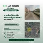 ขายด่วนที่ดินเปล่า ติดถนนพิบูลสงคราม !