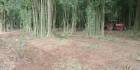 Vาย ที่ดินติดแม่น้ำน้าน ที่ดินจังหวัดน่าน เมืองจัง เหมาะทำรีสอร์ต