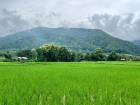 ที่ดิน...วิวดอยภูคา...ใกล้แหล่งชุมชน...ใกล้แหล่งท่องเที่ยว
