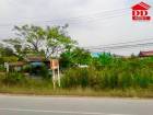 ขายที่ดิน บ้านเกาะ อ.เมือง จ.อยุธยา ติดถนน เนื้อที่ 6 ไร่ 2 งาน 68 ตร.ว.