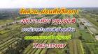 จัดด่วนผ่อนที่ฟรีดอกที่ดินคลอง11หนองเสือราคาเบาผ่อนสบาย. T.062-1574449