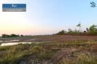 LM24-0304 ขายที่นา ต.หนองแขม อ.หนองแค สระบุรี