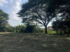 ที่ดินแปลงสวยติดลำเหมืองน้ำไม่ท่วม บรรยากาศร่มรื่น