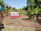 ขายที่ดินใกล้อนามัยบ้านร่องย้าง ตำบลลอ อำเภอจุน จังหวัดพะเยา 