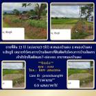 ขายที่ดิน13ไร่โฉนด(แบ่งขาย3-5ไร่) จ.ชัยภูมิ