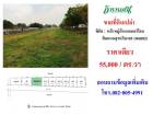 ขายที่ดินติดถนนสุขาภิบาล5 ซอย 82