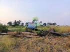 ขายที่ดิน บ้านแหลม เพชรบุรี เนื้อที่ 1 ไร่ ทำเลดี เหมาะปลูกบ้านพักอาศัย
