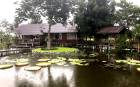 ขายที่ดิน22ไร่ พร้อมบ้านสวน ไร่ละ 5แสนบาท อ.พระพุทธบาท สระบุรี-ลพบุรี 