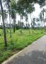 ที่ดินเปล่า ติดถนน 3 ด้าน ห่างจากถนนชบ. 1008 แค่ 400 เมตร