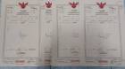 ขายที่ดิน 4 แปลง เนื้อที่รวม 7ไร่ 1งาน  ริมถนน ใหญ่ 
