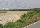 ขายที่ดิน 998ไร่ ไร่ละ2.3ล้านบาท ผังสีม่วง   อยู่ตำบลหัวสำโรง แปลงยาว