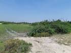 ขายที่ดินหลายแปลง5,2,4,7และ18ไร่ใกล้ทะเลหาดเจ้าสำราญจ.เพชรบุรี 