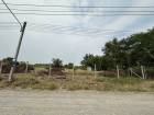 ขายที่ดิน ถมแล้ว ต.หนองสามวัง อ.หนองเสือ ปทุมธานี ใกล้วัดป่าคลอง 