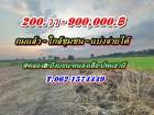 ที่ดินถมแล้วถูกมาก สด หรือแบ่งจ่ายได้ใกล้ชุมชนที่คลอง8-หนองเสือ-T.062-1574449